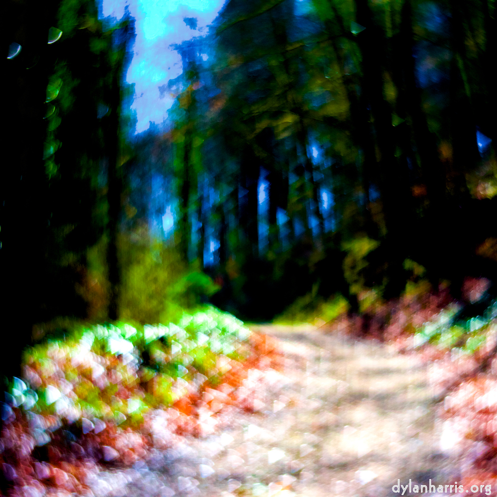 image: This is &lsquo;wood (xxxiv) 7&rsquo;.