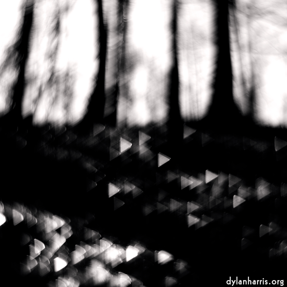 image: Image 'wood (xxxiv) 8'