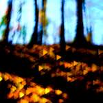 image: minettsg&eacute;igend