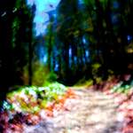 image: Image from the photoset &lsquo;wood (xxxiv)&rsquo;.