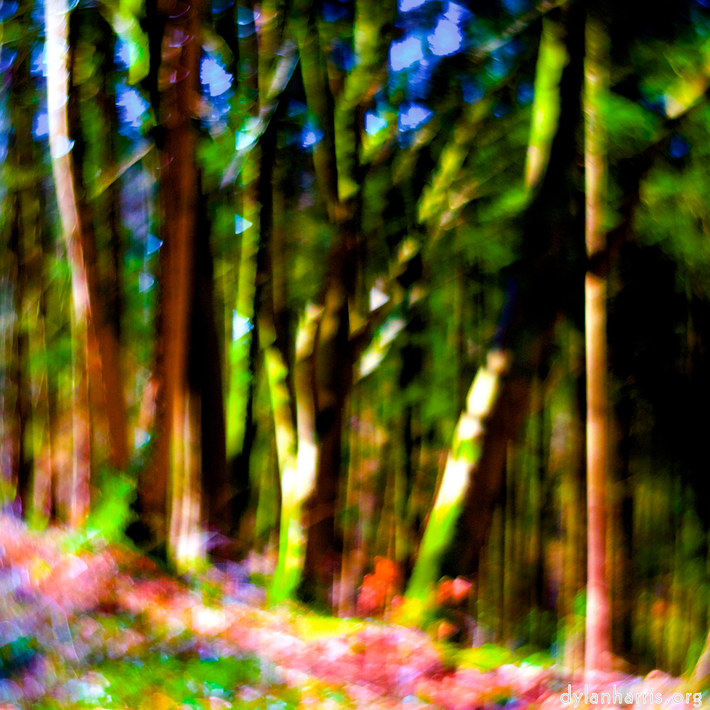 image: This is &lsquo;wood (xxxv) 5&rsquo;.