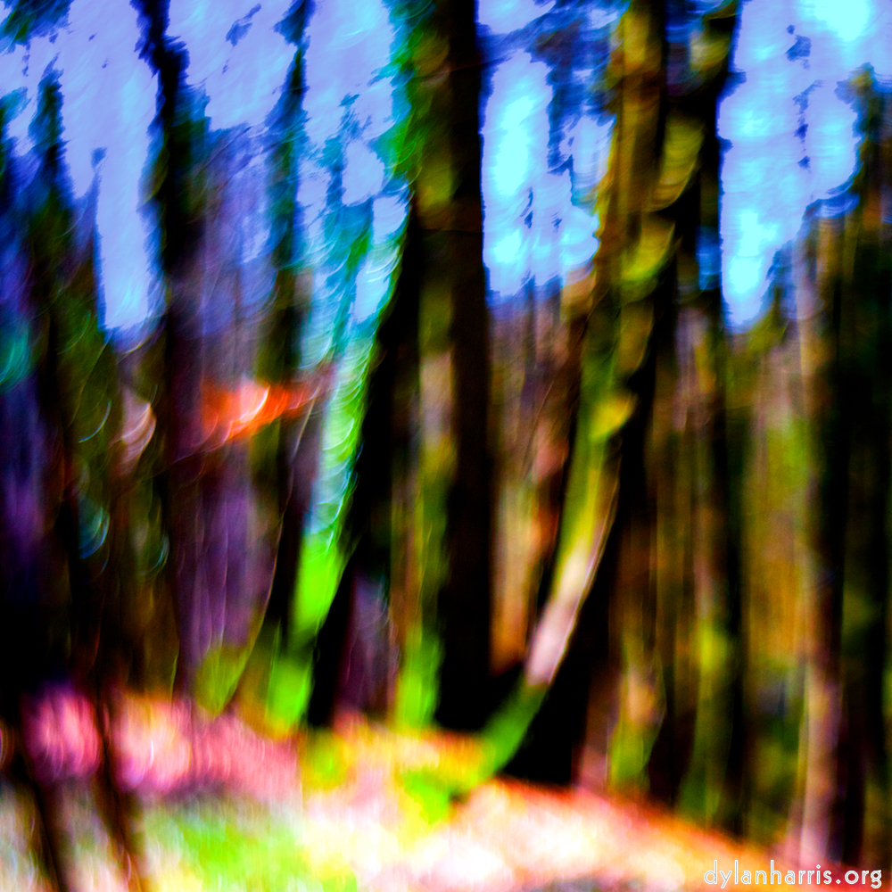 image: This is &lsquo;wood (xxxv) 7&rsquo;.