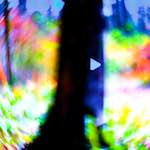 image: Image from the photoset &lsquo;wood (xxxv)&rsquo;.