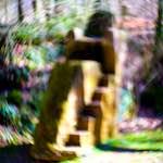 image: Image from the photoset &lsquo;wood (xxxv)&rsquo;.