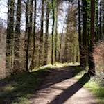 image: Image from the photoset &lsquo;wood (xxxvi)&rsquo;.