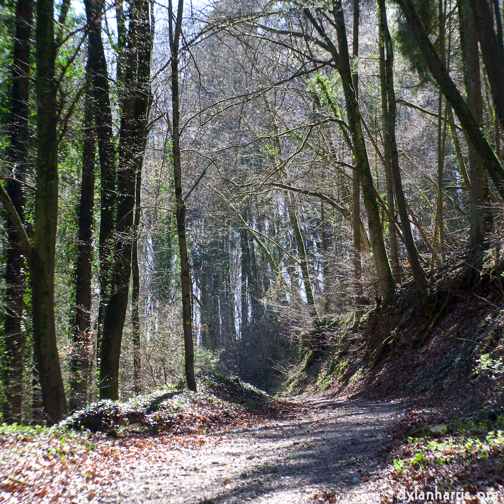 image: This is &lsquo;wood (xxxvii) 5&rsquo;.