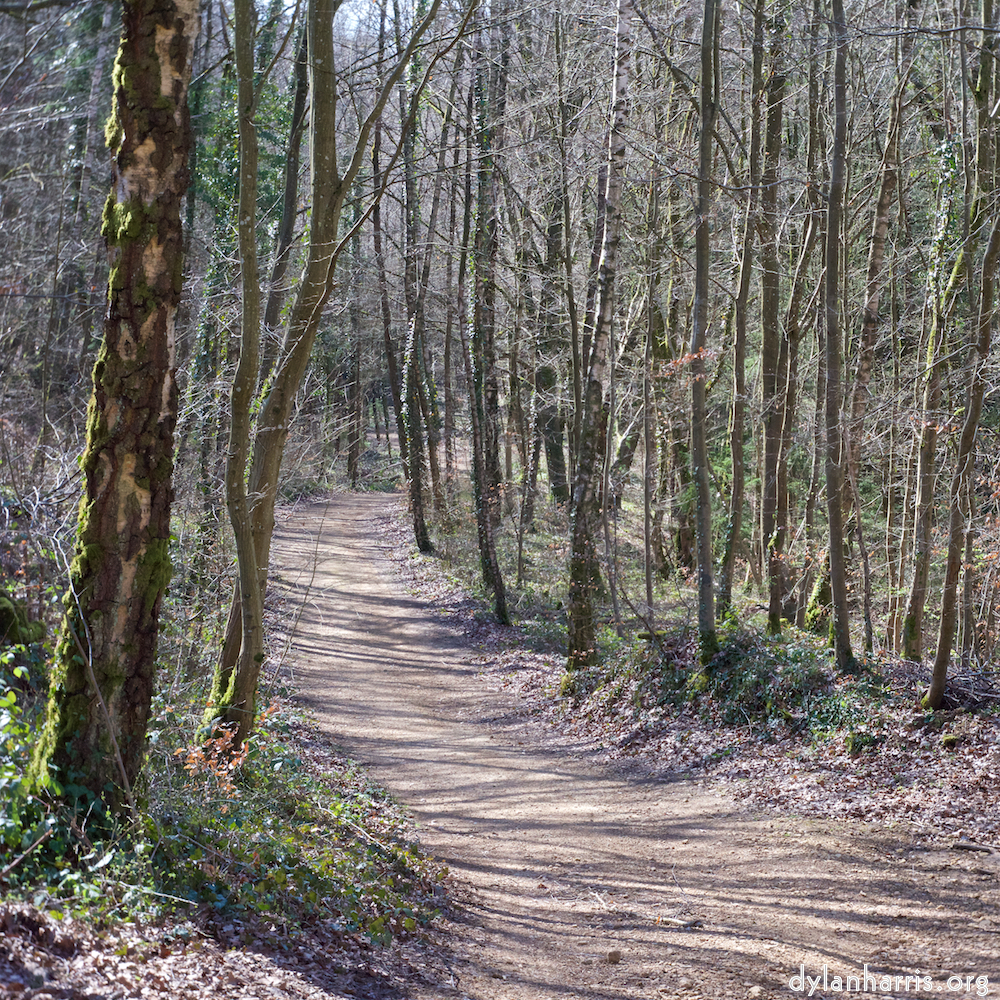 image: This is &lsquo;wood (xxxvii) 7&rsquo;.