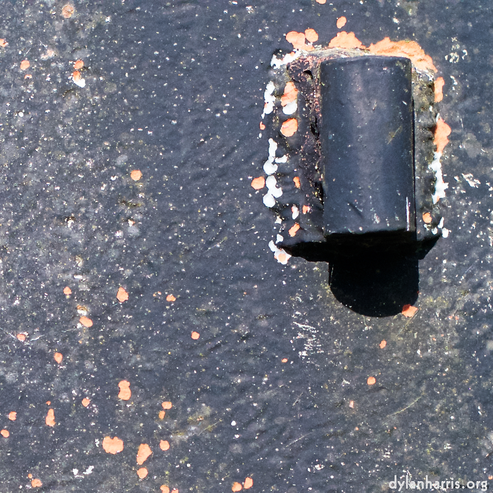 Image: Image 'fond&ndash;de&ndash;gras (i) 6'.