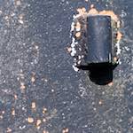 Image: Sixth image from the photoset 'fond&ndash;de&ndash;gras (i)'.