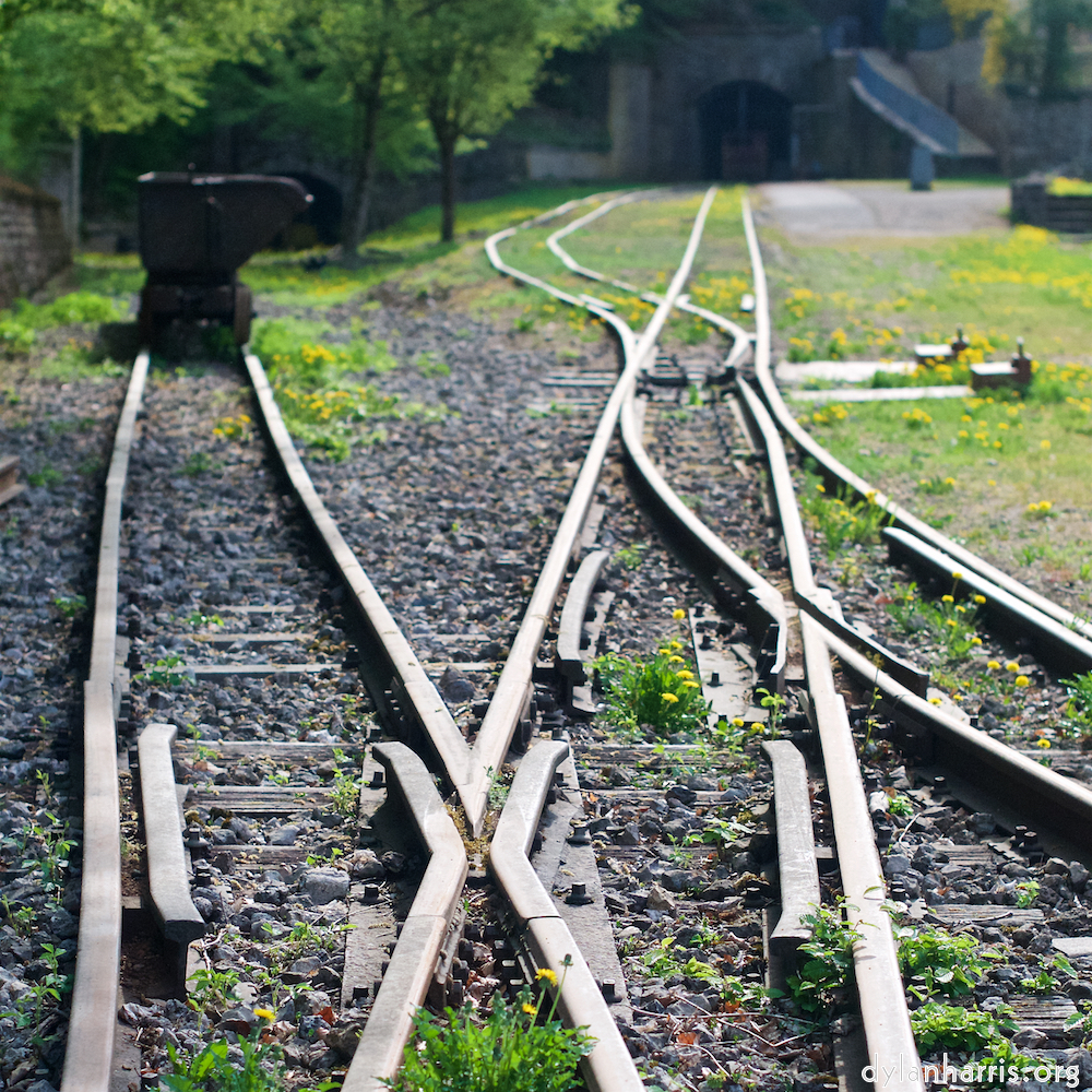 image: This is &lsquo;fond&ndash;de&ndash;gras (ii) 5&rsquo;.