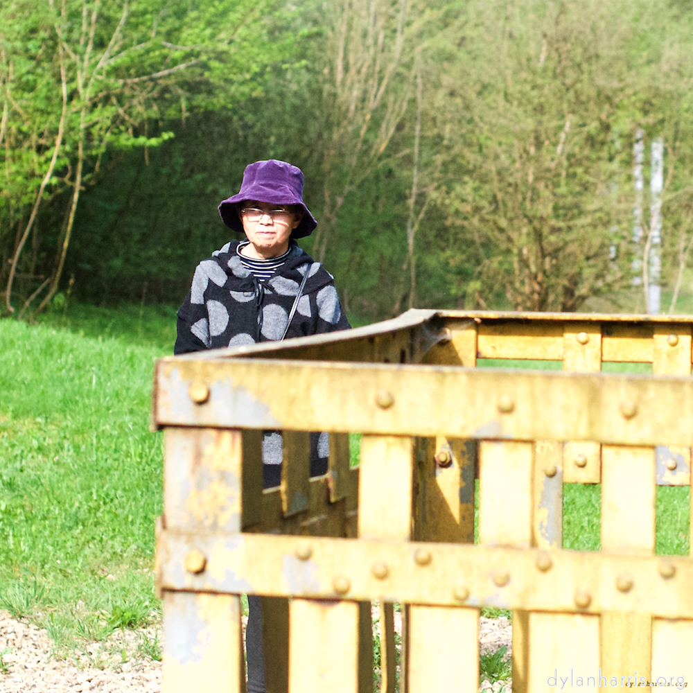 Image: Image 'L (xi) 1'.