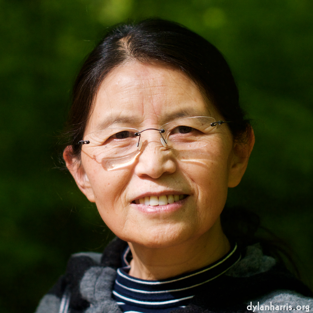 Image: Image 'L (xi) 4'.