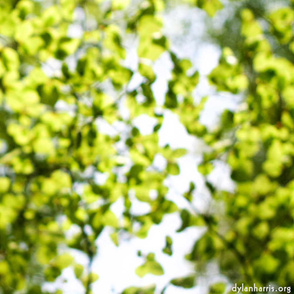 Image: Image 'wood (xxx) 4'.