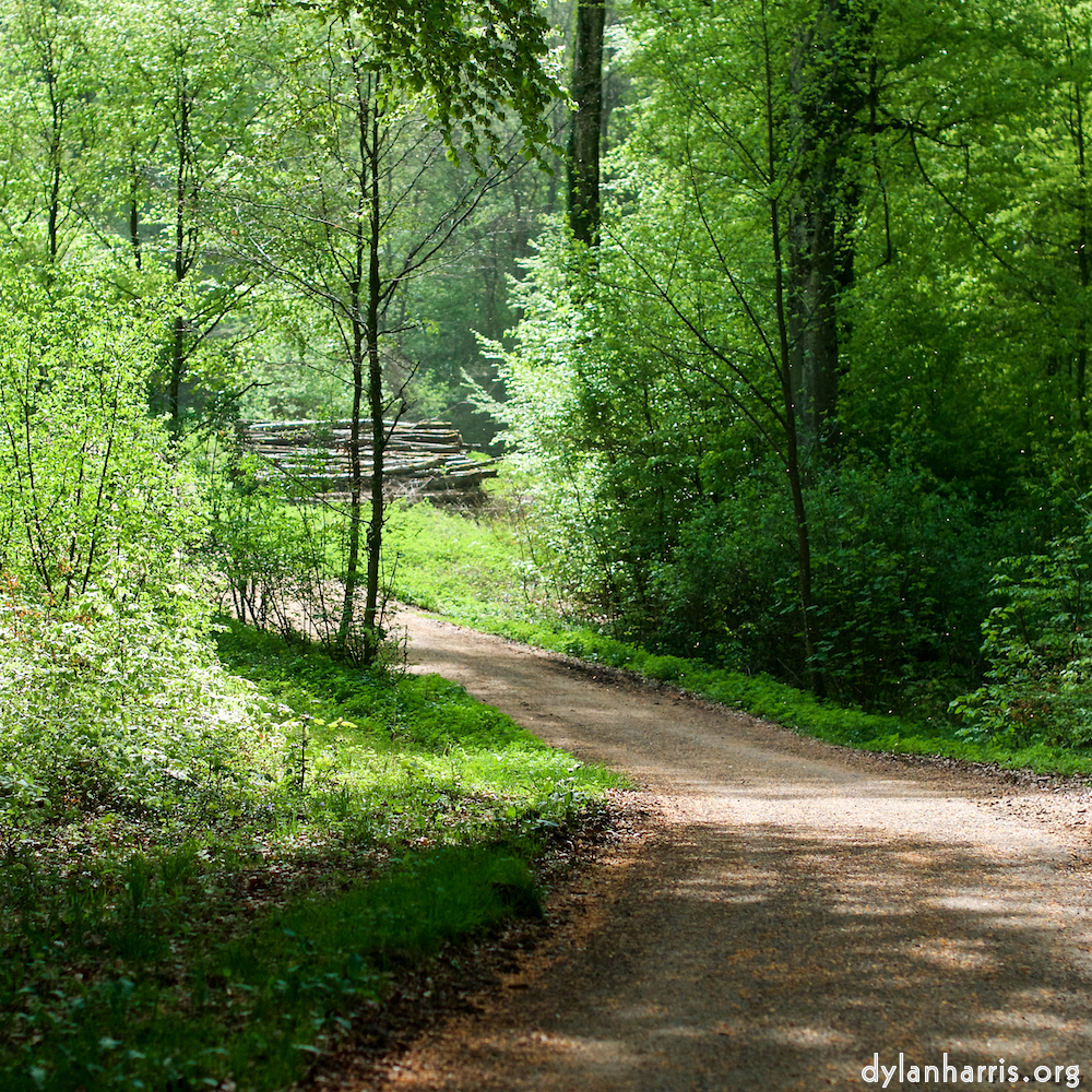 Image: Image 'wood (xxx) 6'.