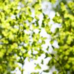 Image: Fourth image from the photoset 'wood (xxx)'.