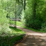 Image: Sixth image from the photoset 'wood (xxx)'.