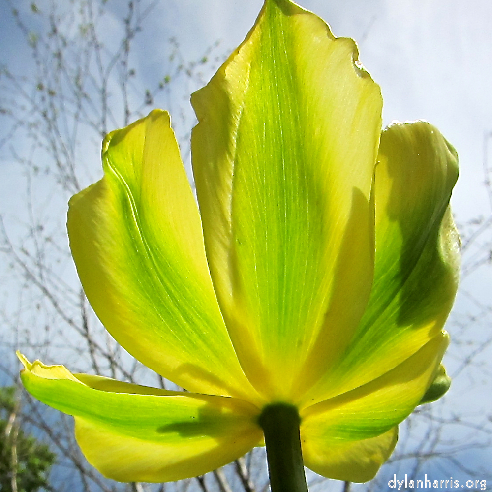 image: la d&eacute;fense