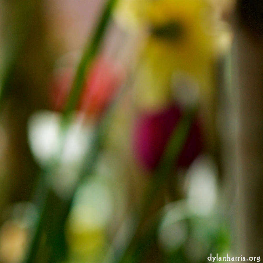 image: Voici &lsquo;park (xxxvi) 1&rsquo;.