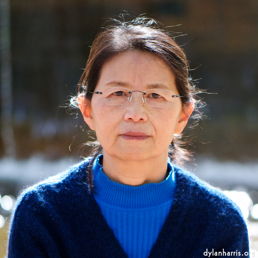 image: Voici &lsquo;park (xxxvi) 2&rsquo;.