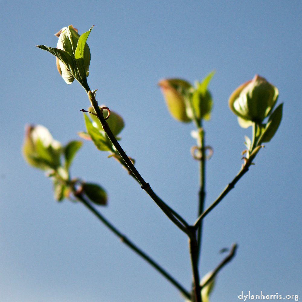 image: Voici &lsquo;park (xxxvi) 5&rsquo;.