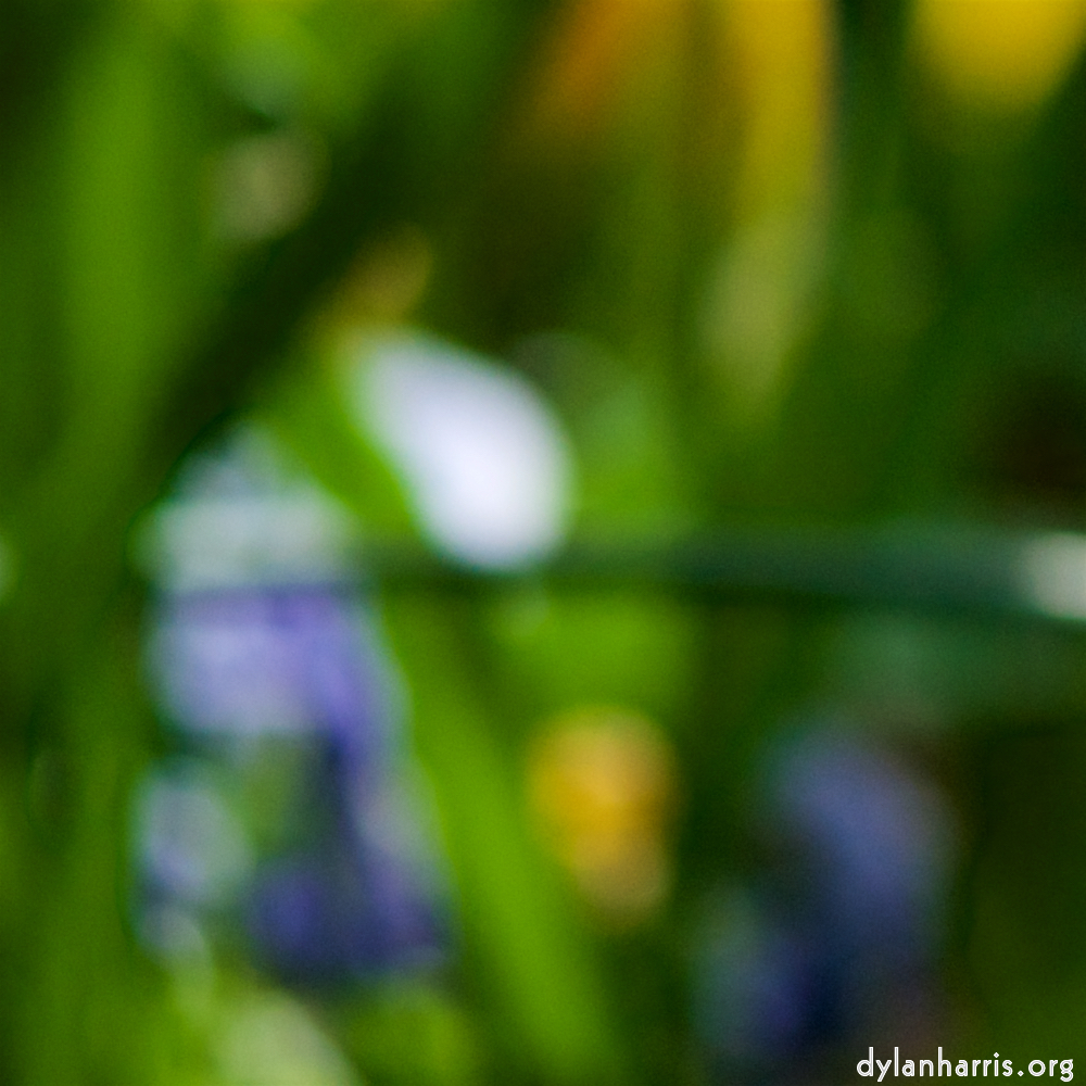 image: Voici &lsquo;park (xxxvi) 6&rsquo;.