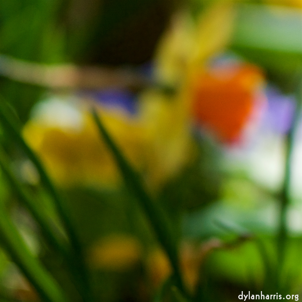 image: Voici &lsquo;park (xxxvii) 1&rsquo;.