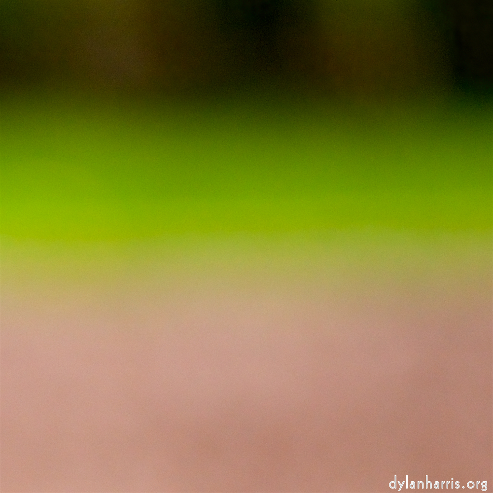 image: Voici &lsquo;park (xxxvii) 2&rsquo;.