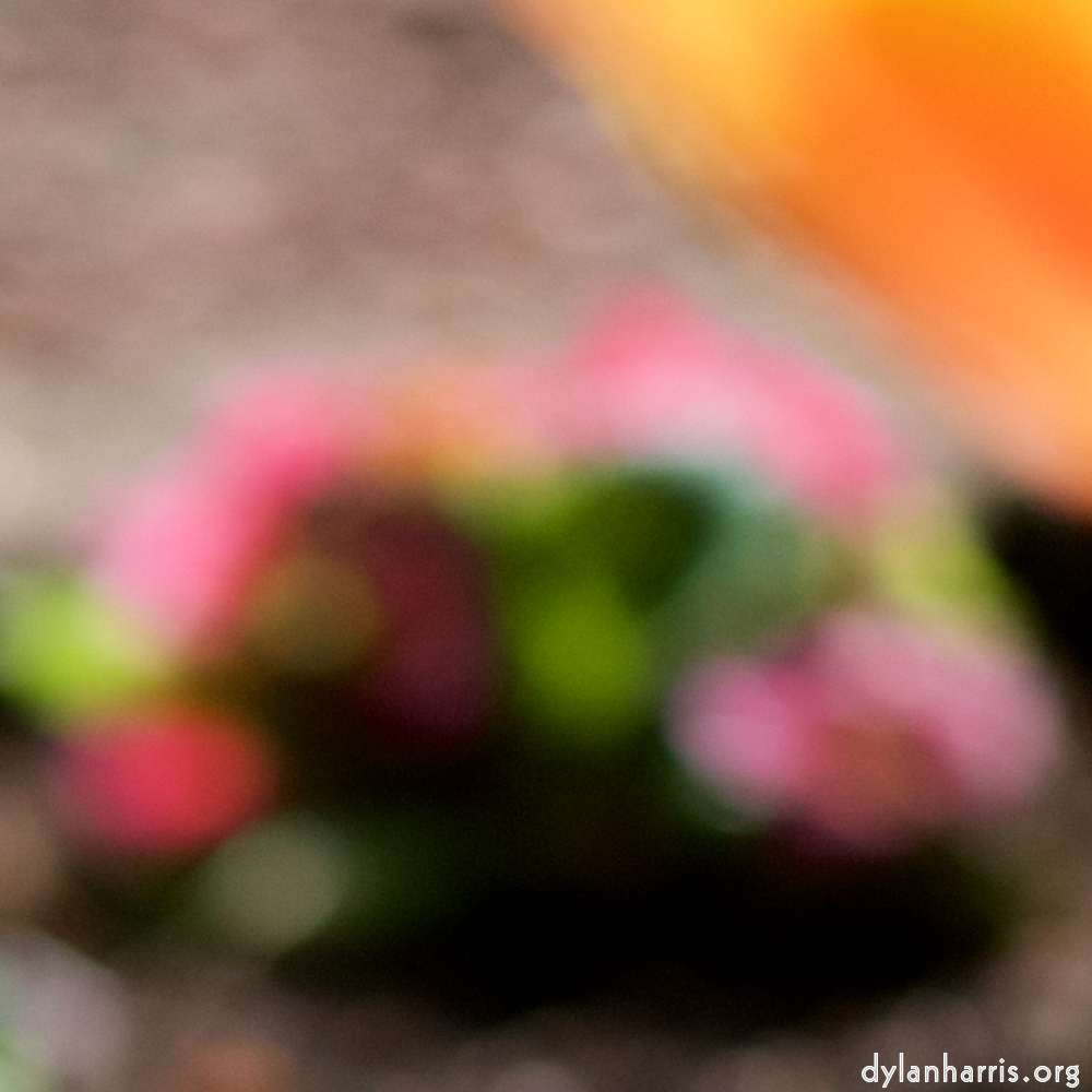 image: Voici &lsquo;park (xxxvii) 3&rsquo;.