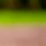 image: Image du photoset &lsquo;park (xxxvii)&rsquo;.