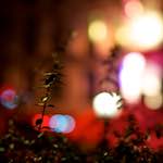 Eighth image from the photoset 'nuit (v)'.