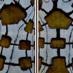 Fifth image from the photoset 'la d&eacute;fense (xiii)'.