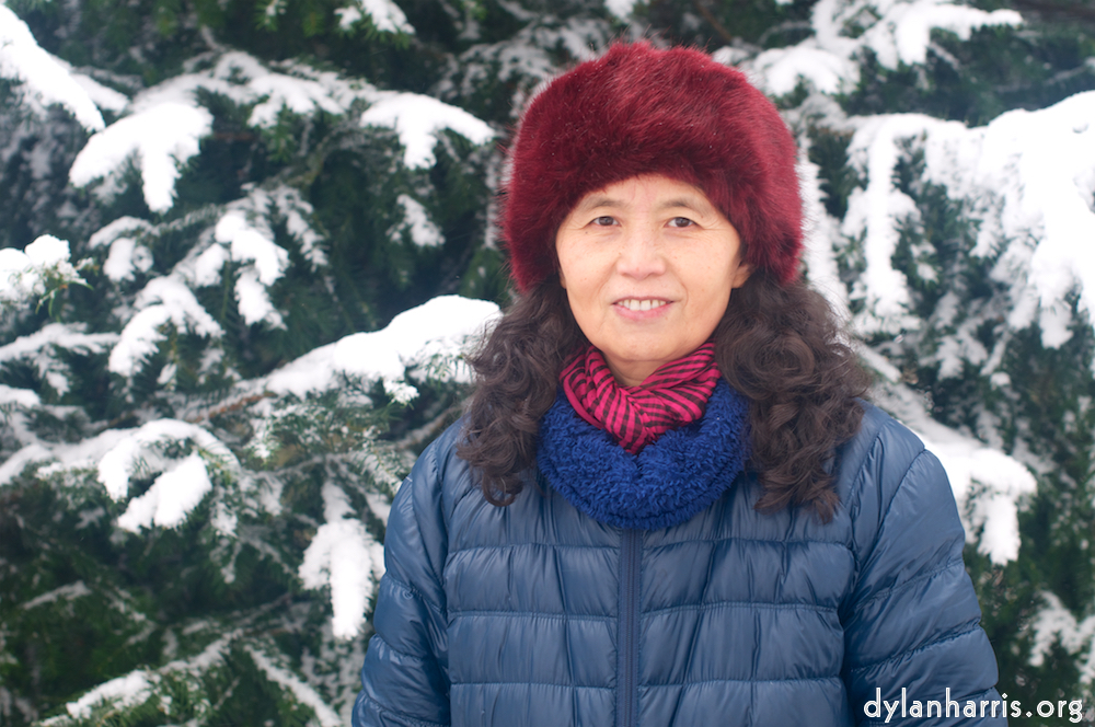 Image 'lana (iii) 3'.