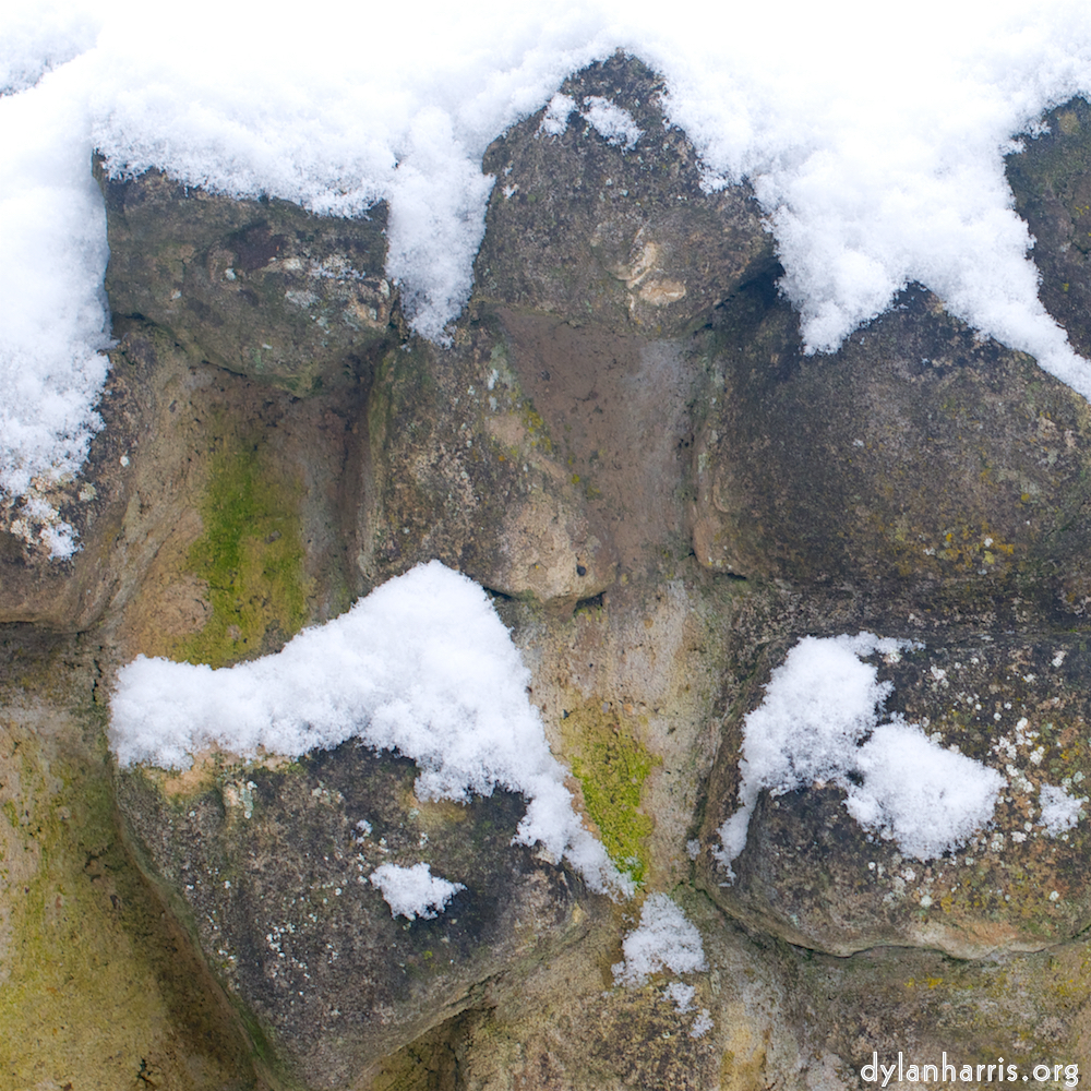 Image 'grund (xii) 2'.