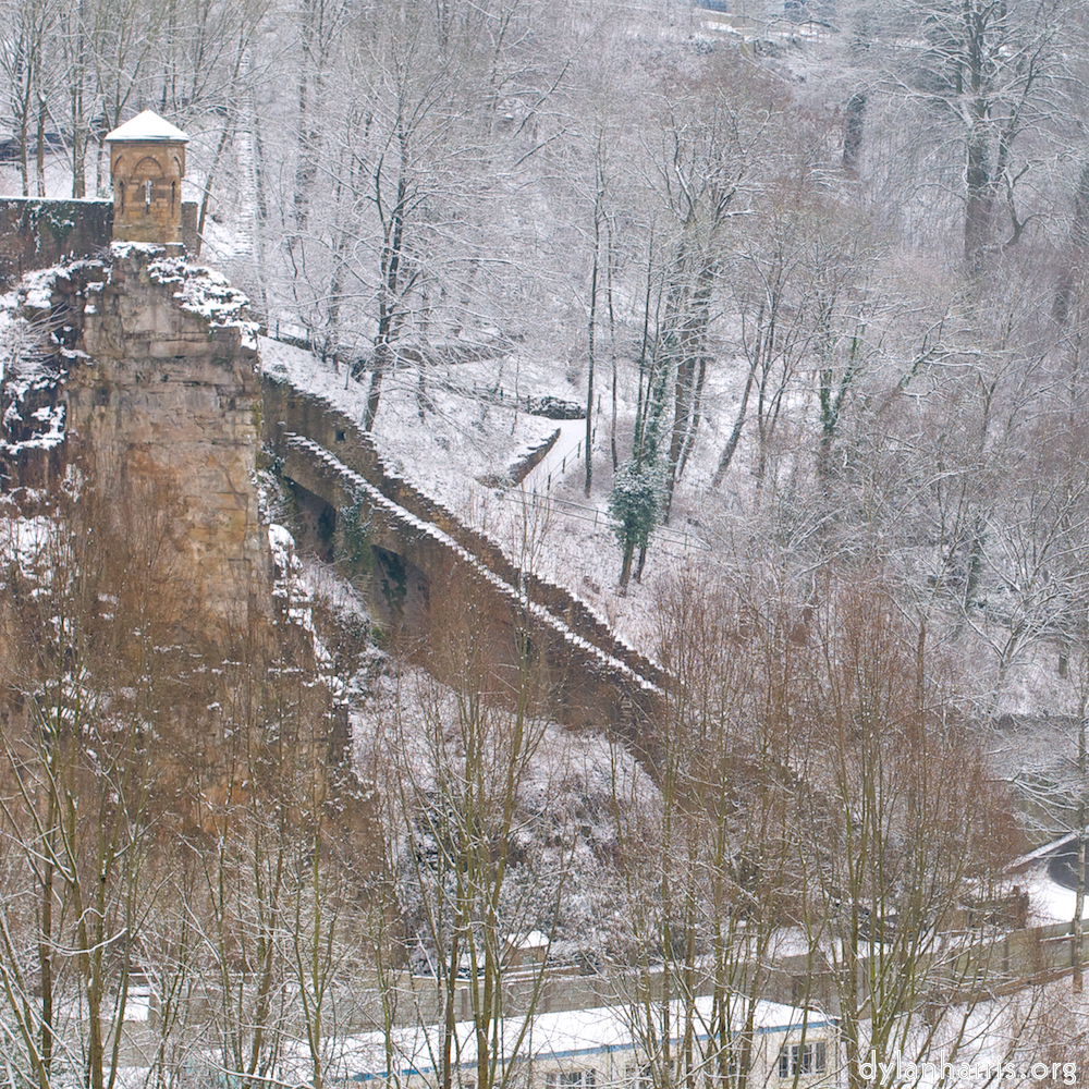 Image: Image 'grund (xii) 4'.