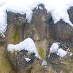 Second image from the photoset 'grund (xii)'.