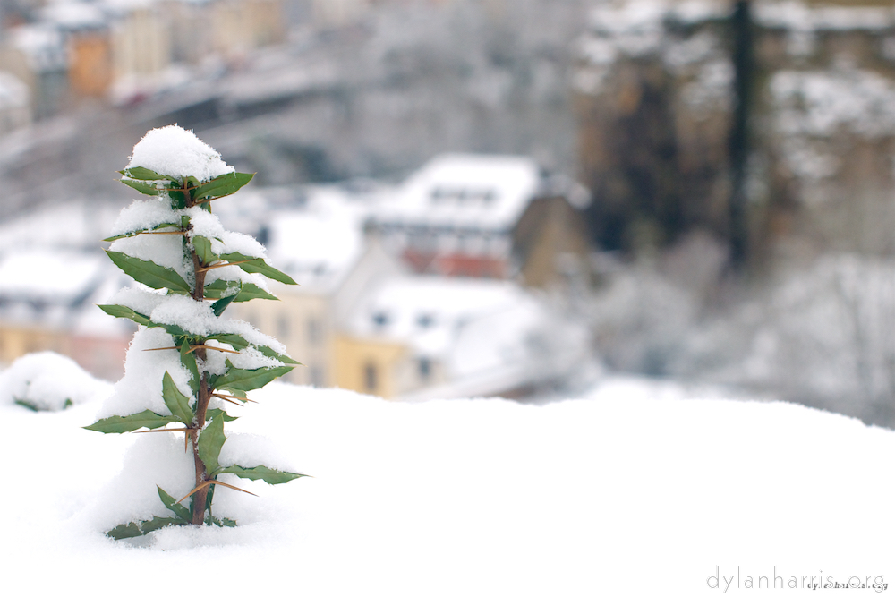 Image 'rham (iv) 2'.