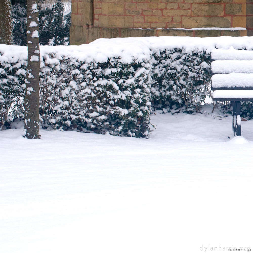 image: This is &lsquo;rham (v) 1&rsquo;.