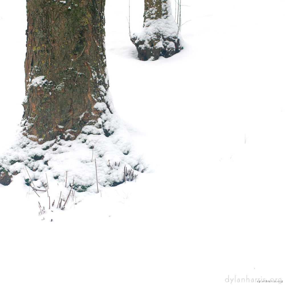 image: This is &lsquo;rham (v) 4&rsquo;.