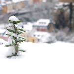 image: Image from the photoset &lsquo;rham (v)&rsquo;.