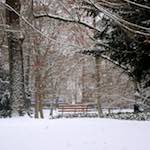 image: Image from the photoset &lsquo;way to work B (vii)&rsquo;.