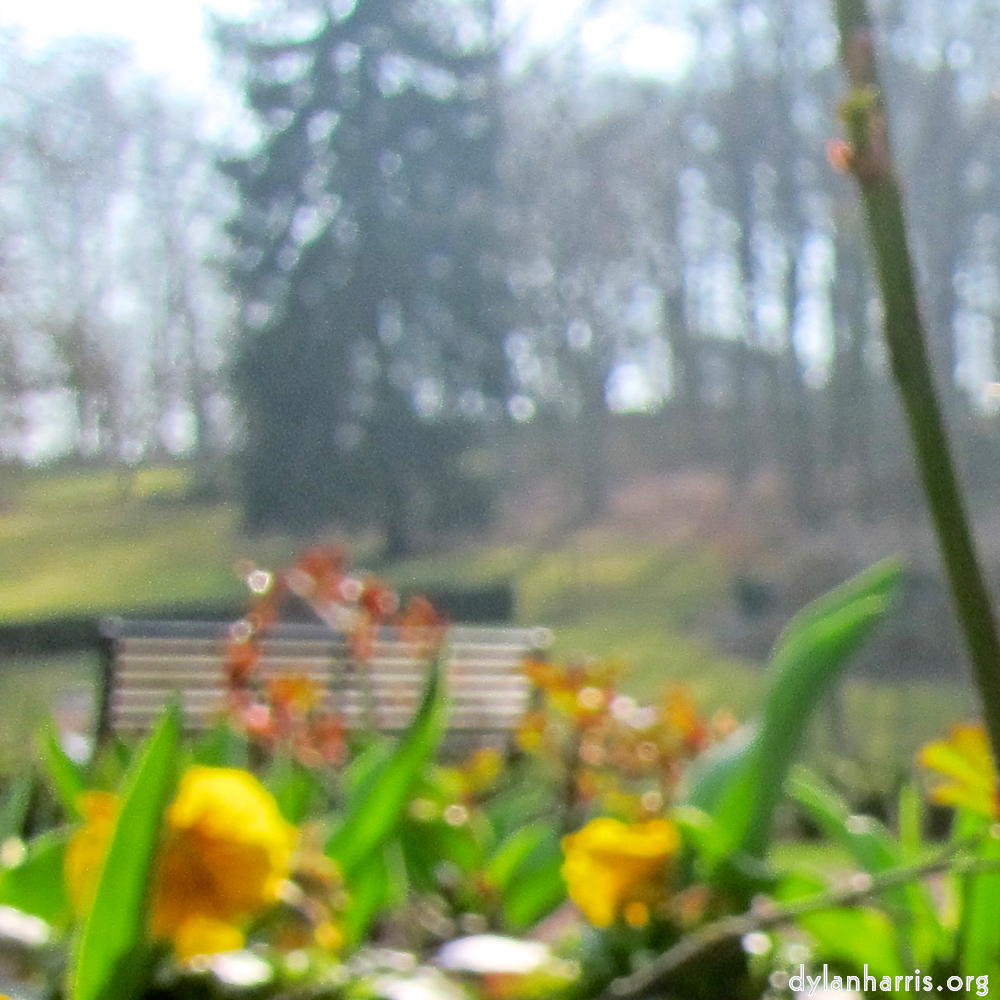 image: Voici &lsquo;fleurs d&rsquo;esch (cxx) 3&rsquo;.