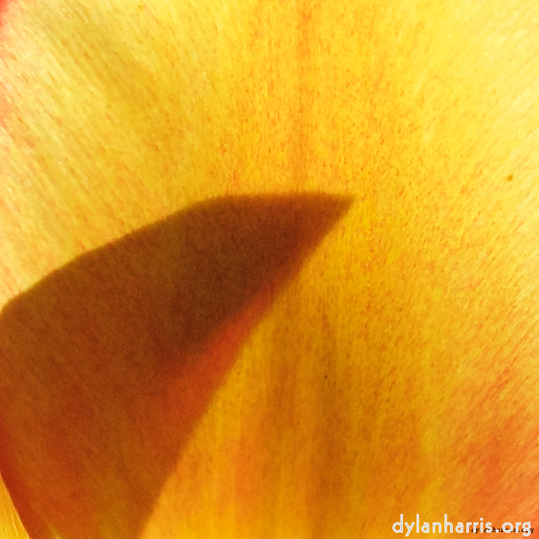 Image: Image 'escher blummen (l) 4'.