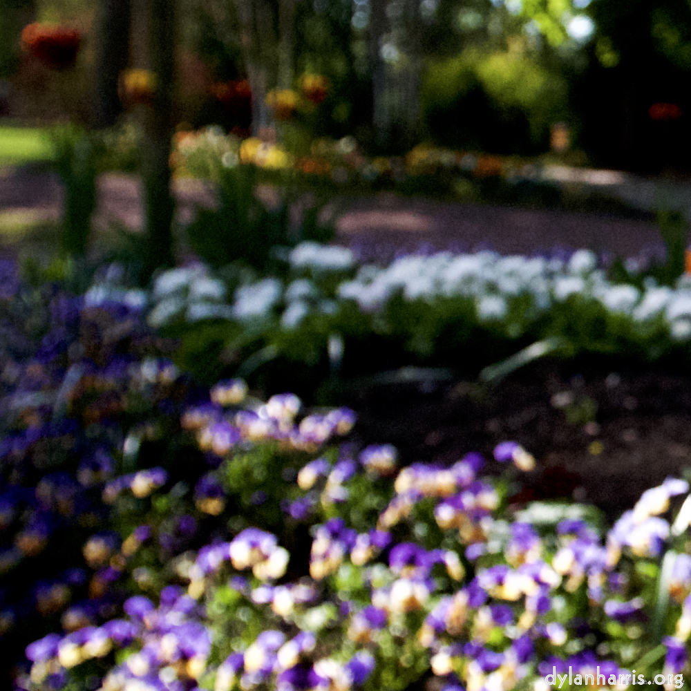 image: This is &lsquo;parc (xiv) 1&rsquo;.