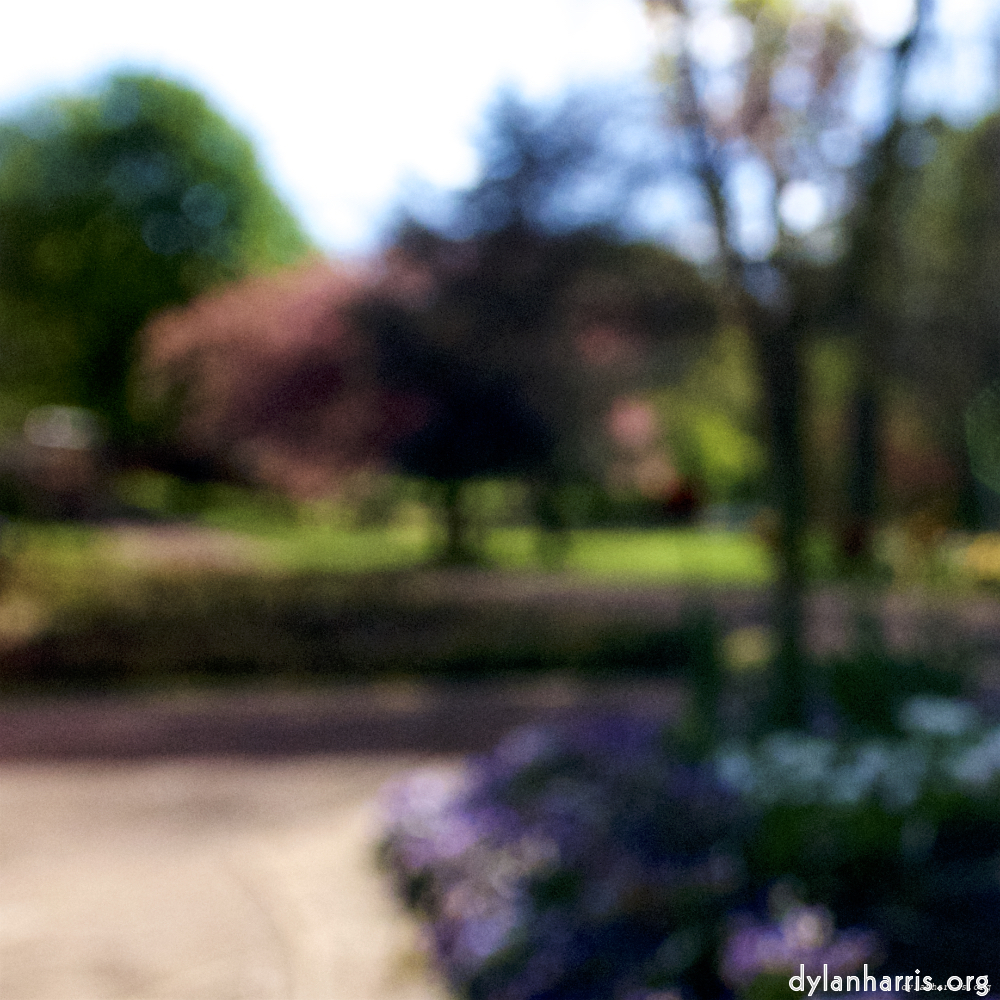 Image: Image 'parc (xiv) 3'.