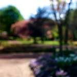 Image: Third image from the photoset 'parc (xiv)'.