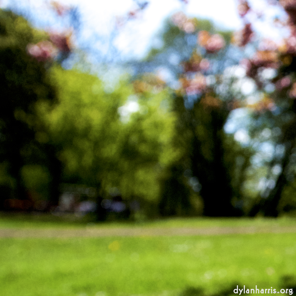 Image: Image 'parc (xv) 1'.