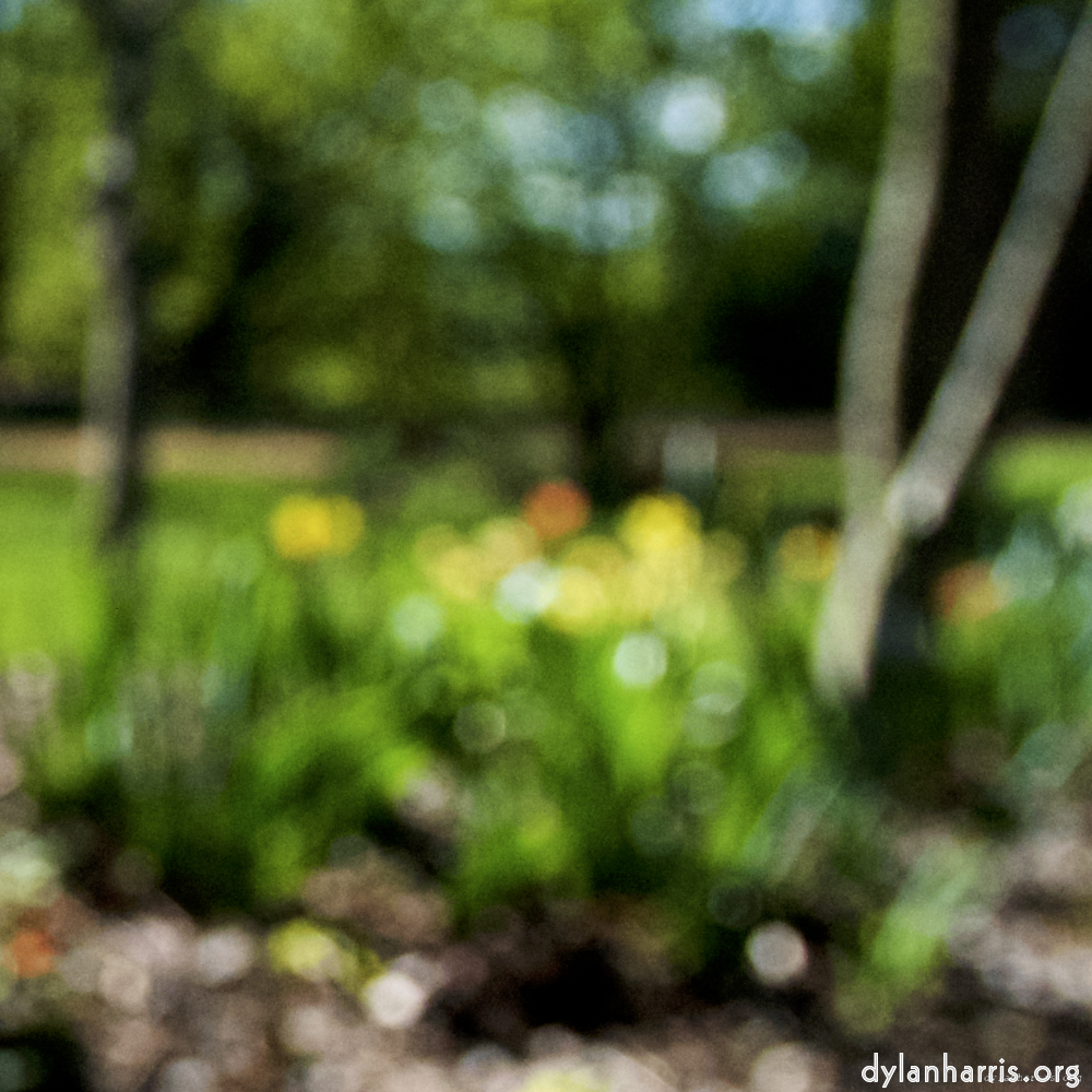 Image: Image 'parc (xv) 3'.