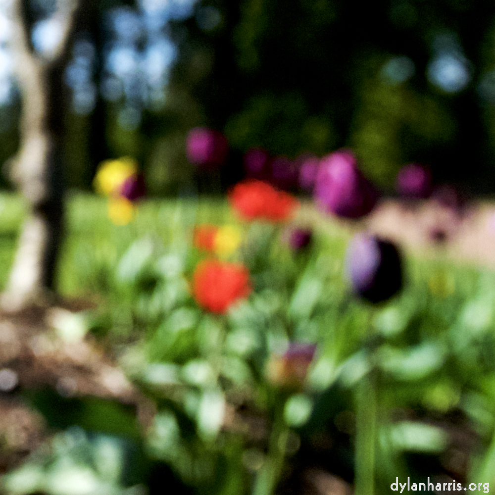 Image: Image 'parc (xv) 4'.