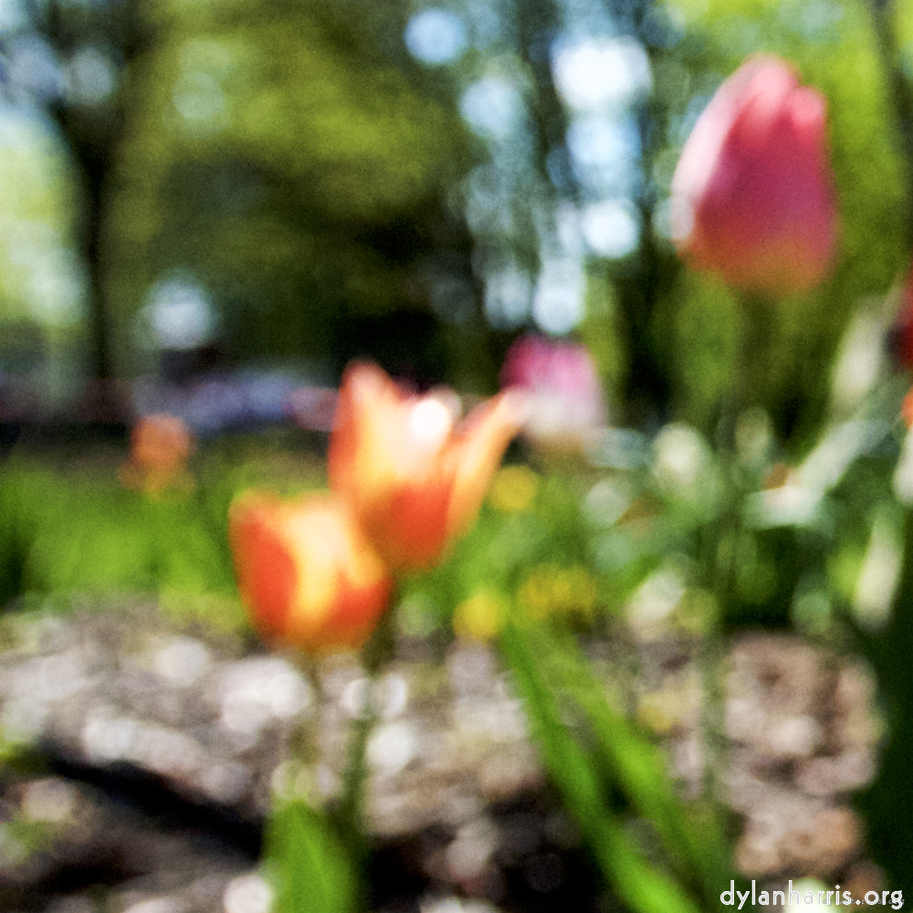 image: This is &lsquo;parc (xv) 6&rsquo;.