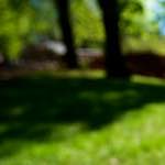 Image: Ninth image from the photoset 'parc (xv)'.